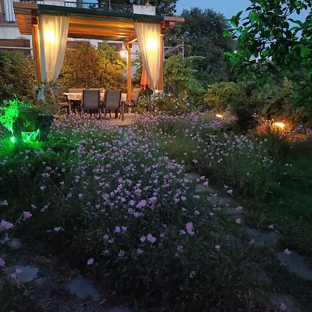Mikros Paradisos Pelion Áyios Vlásios Dış mekan fotoğraf