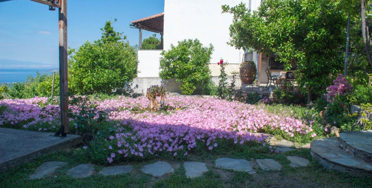 Mikros Paradisos Pelion Áyios Vlásios Dış mekan fotoğraf